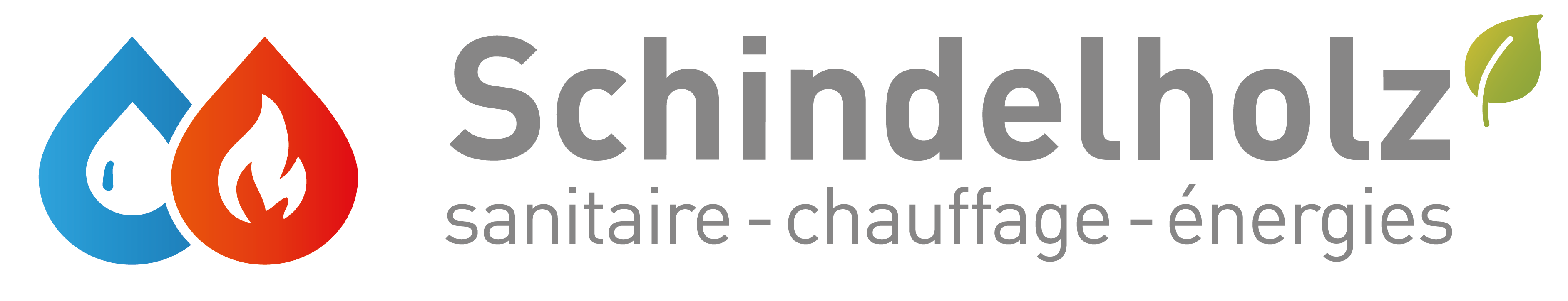 Schindelholz SA Logo